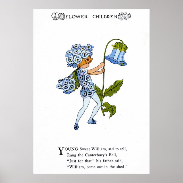 Poster Sweet William (Devant)