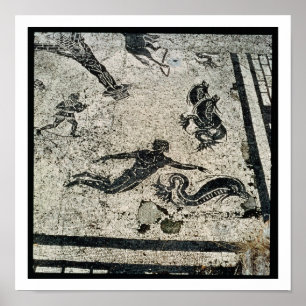 Poster Swimming with the Dolphins, from the Frigidarium o