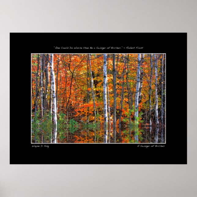 Poster Swinger of Birches (Devant)