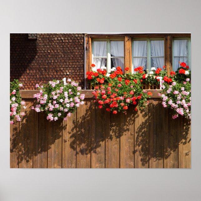 Poster Swiss flower box (Devant)