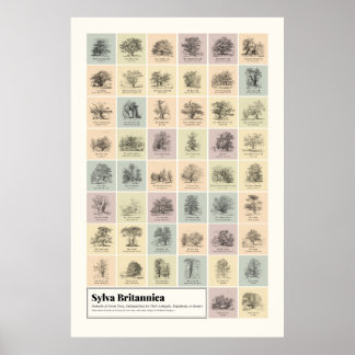 Poster Sylva Britannica
