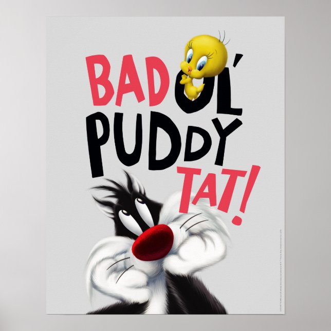 Poster SYLVESTER™ & TWEETY™ - Tat de puddy Ol' moyen (Devant)