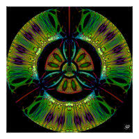 Symbole de danger biologique psychédélique (ou tou