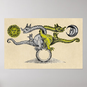Poster Symbole de dragon d'or et d'argent