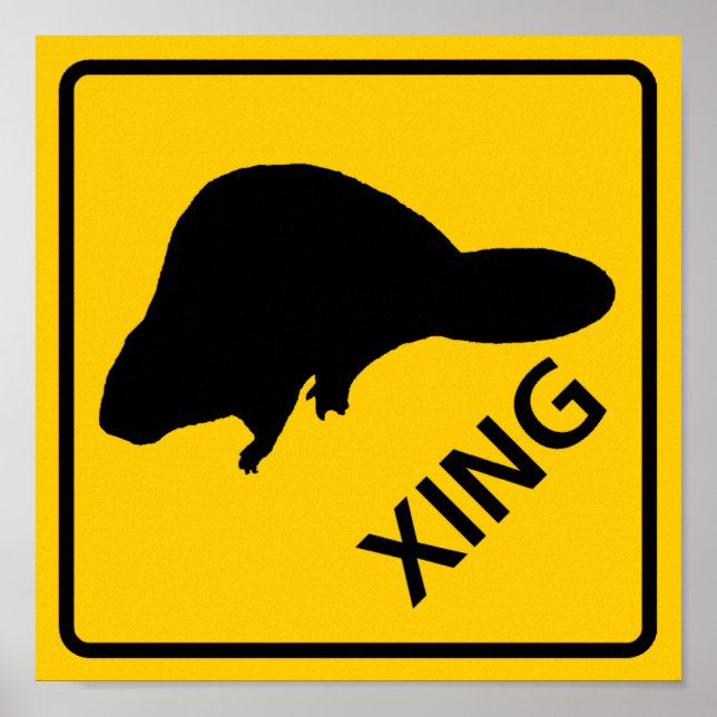 POSTER SYMBOLE DE LA ROUTE DU PARCOURS-PARCOURS DU BÉTAIN (Devant)