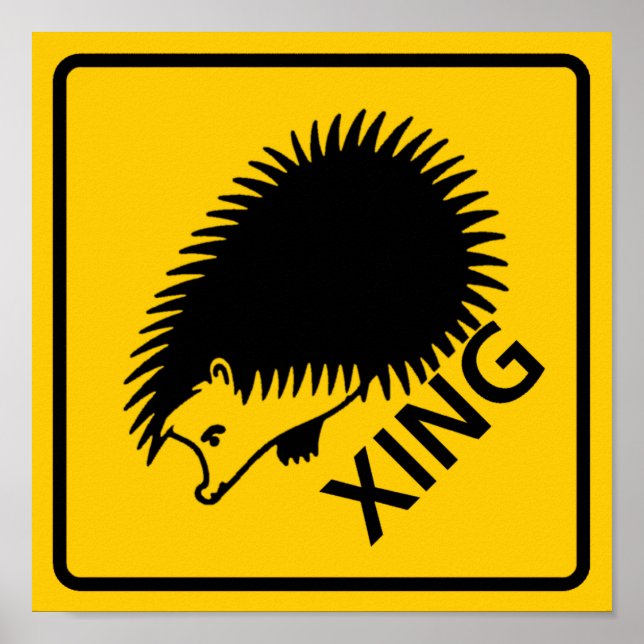 Poster SYMBOLE DE LA ROUTE DU PASSAGE DE HÊdgehog (Devant)