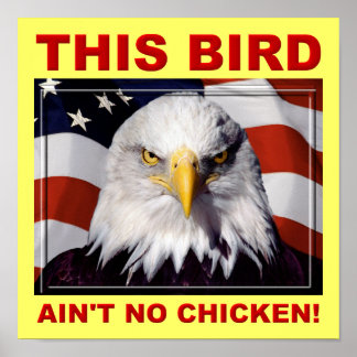 Poster Symbole de l'Aigle Américain n'a pas de poulet