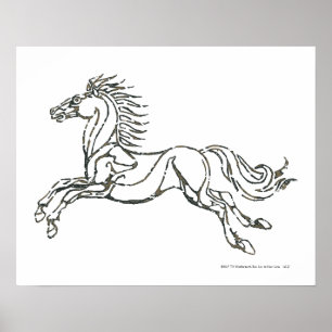 Poster Symbole de Rohan