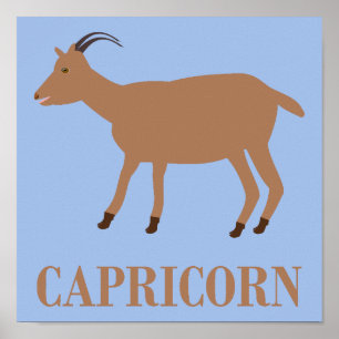 Poster Symbole étoile Capricorne Chèvre