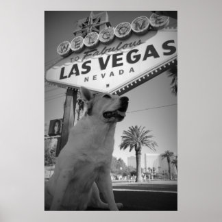 Poster Symbole Maggie - Las Vegas