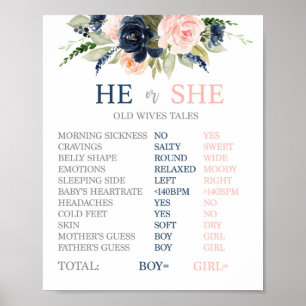 Poster Symbole Old Wales Tales