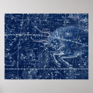 Poster Symbole Taurus Zodiac Illustration Vintage