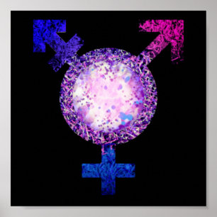 Poster Symbole trans