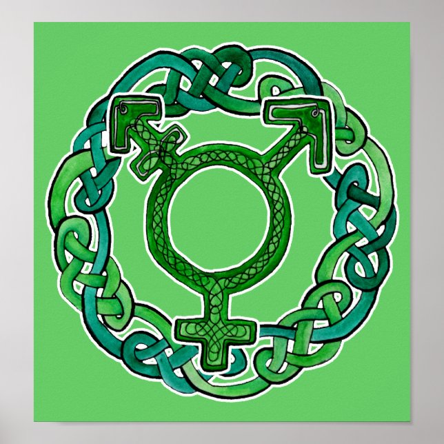 Poster Symbole transgenre du réseau (Devant)