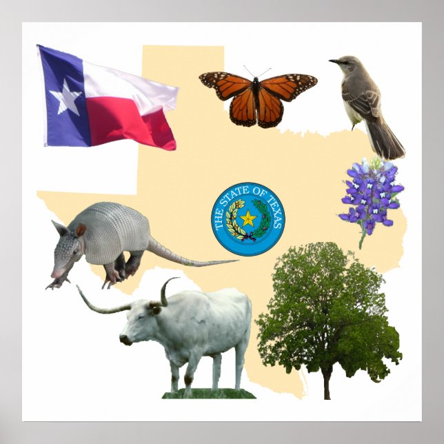 Poster Symboles d'état du Texas (Devant)