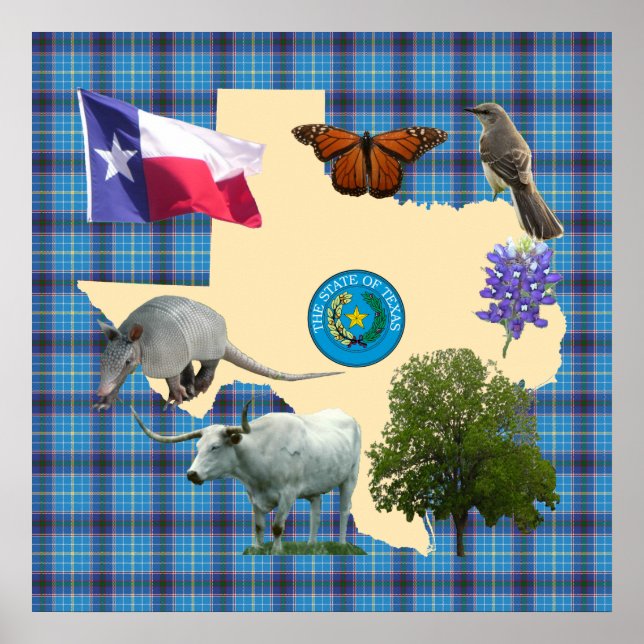 Poster Symboles d'état du Texas (Devant)