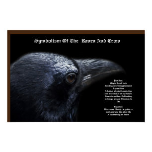 Poster Symbolisme du corbeau