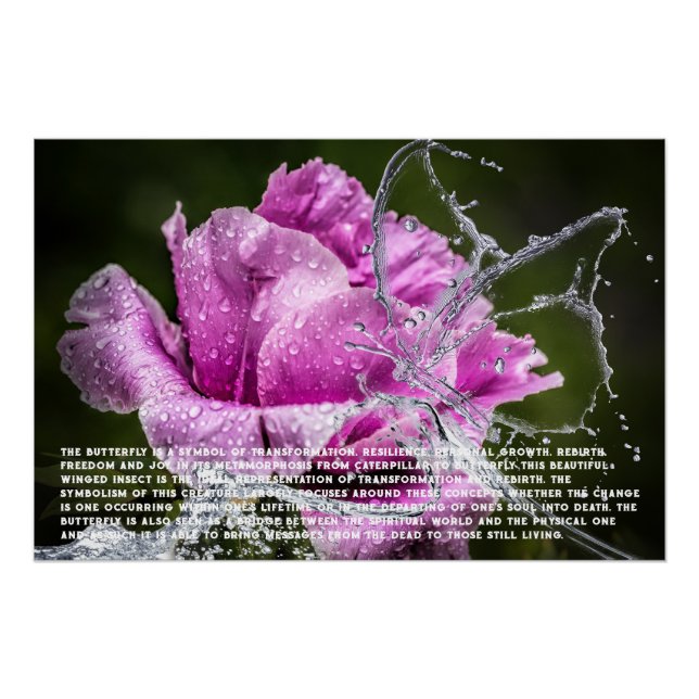 Poster Symbolisme Papillon (Devant)