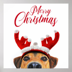 Poster Sympa Christmas Chien Reindeer Antler Headband