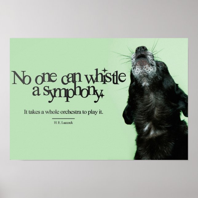 Poster Symphonie (Devant)