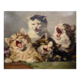 Poster Symphonie de chatons par Julius Adam II