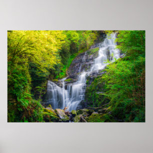 Poster Symphonie de la nature : les cascades de Killarney