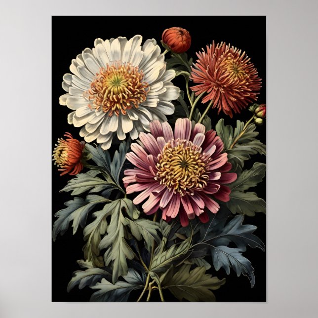 Poster Symphonie Fleur sauvage Asters (Devant)