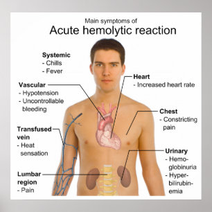 Poster Symptômes de la réaction hémolytique aiguë de