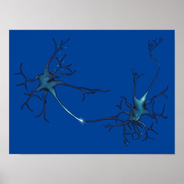 Poster Synapse Entre Neurons, Neuroscience Neuron (Devant)