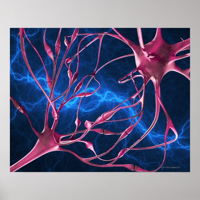 Poster Synapses nerveuses, illustration informatique. (Devant)