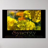 Synergie
