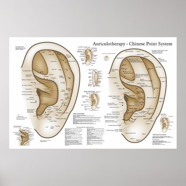 Poster Système chinois d'acupuncture auriculaire (Devant)