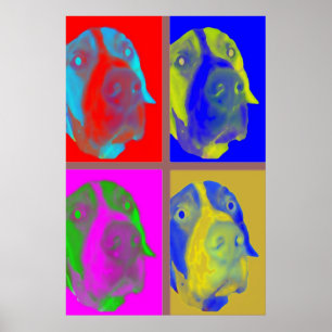 Poster Système de préférences généralisées PopArt