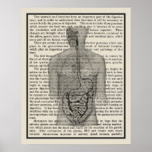 Système digestif Anatomie Art Imprimer #5