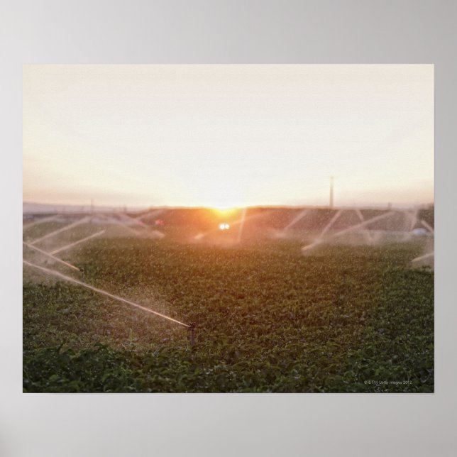 Poster Système d'irrigation agricole (Devant)