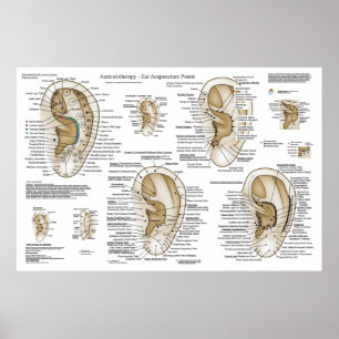 Poster Système européen Auriculothérapie Acupuncture orei
