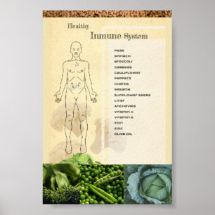 Poster Système immunitaire sain Póster