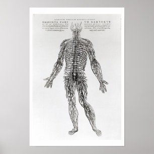 Poster Système nerveux (copie de b/w)