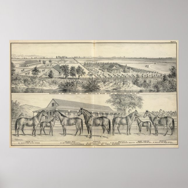 Poster T Ferme d'hiver (Devant)