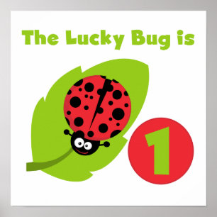 Poster T-shirts et cadeaux Lucky Bug 1er anniversaire