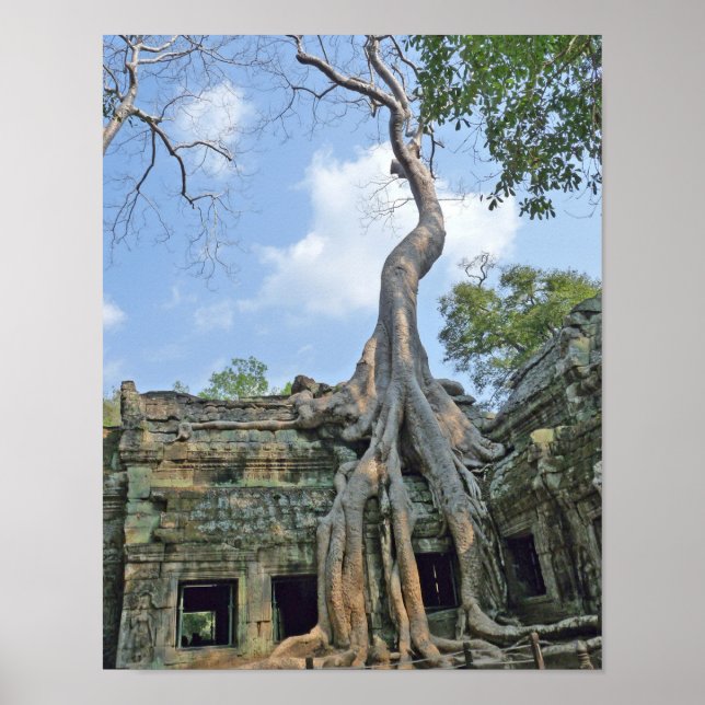 Poster Ta Prohm (Devant)