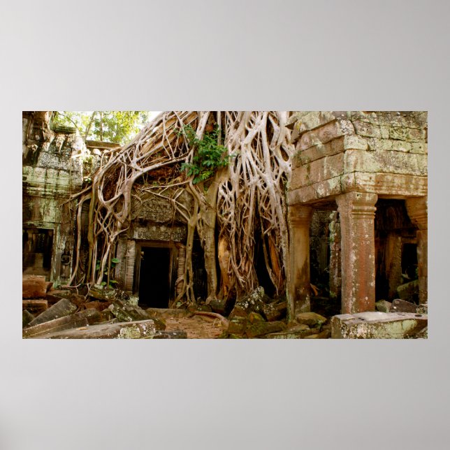 Poster Ta Prohm (Devant)