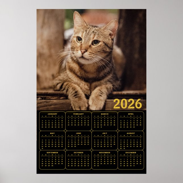 Poster Tabby Cat 2026 Calendar (Devant)