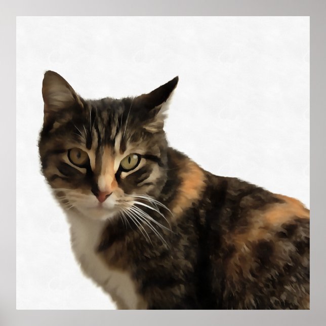 Poster Tabby Cat Portrait Artistique Sur Arrière - plan B (Devant)