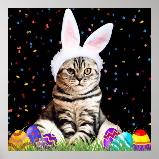 Poster Tabby de Pâques (Devant)