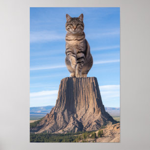 Poster Tabby géant de la tour du Diable
