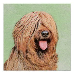 Poster Tableau de bord - Joli art original chien