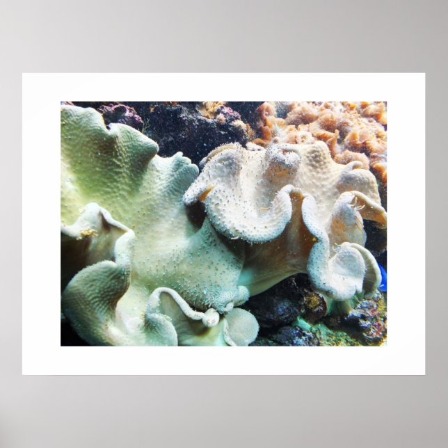 Poster Tabouret en cuir corail (Devant)