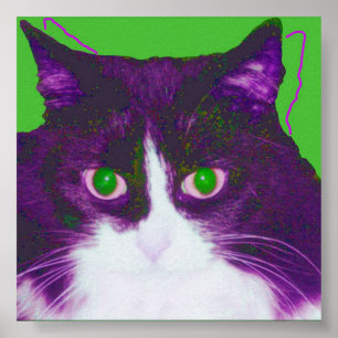 Poster Tache