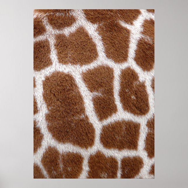 Poster Taches de girafe (Devant)